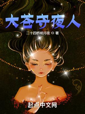 大苍守夜人封面